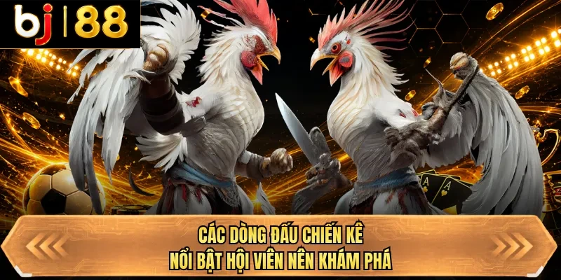 cac dong dau chien ke noi bat hoi vien nen kham pha