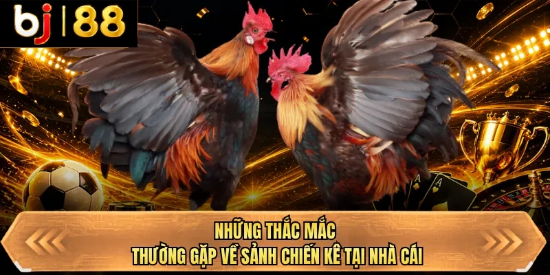 nhung thac mac thuong gap ve sanh chien ke tai nha cai nhung thac mac thuong gap ve sanh chien ke tai nha cai